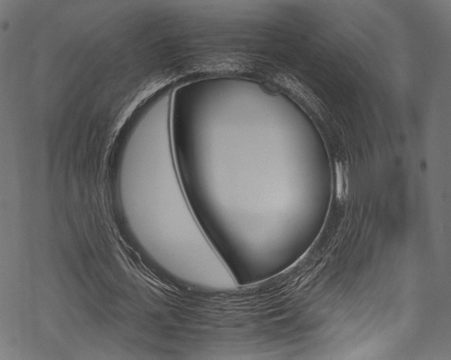 X0000070230723200605261101