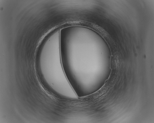 X0000070230728200605261101