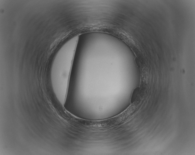 X0000070230740200605261101