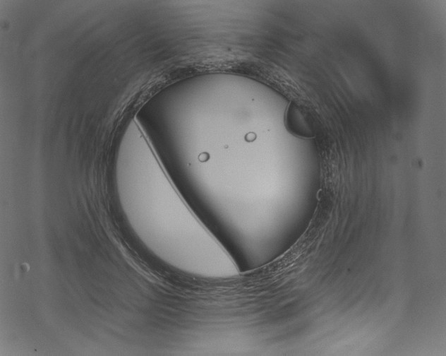 X0000070230742200605261101