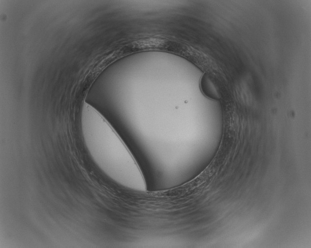 X0000070230743200605261101