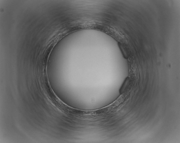 X0000070230744200605261101