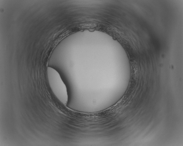 X0000070230745200605261101