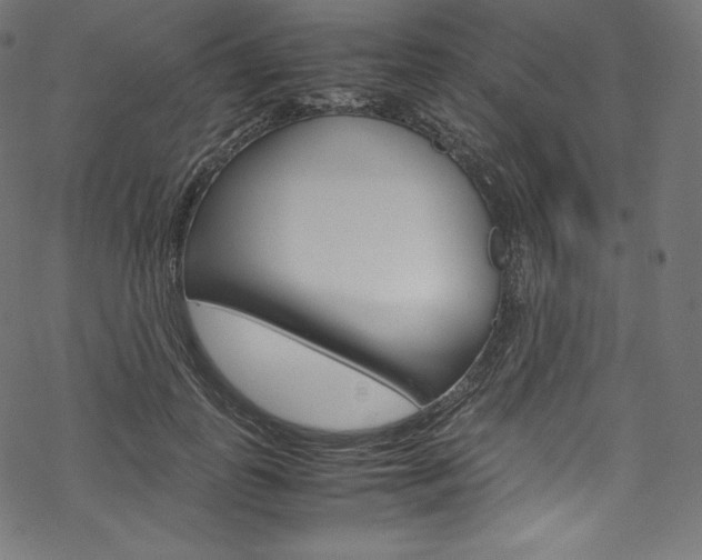 X0000070230747200605261101