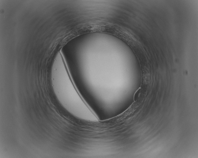 X0000070230748200605261101