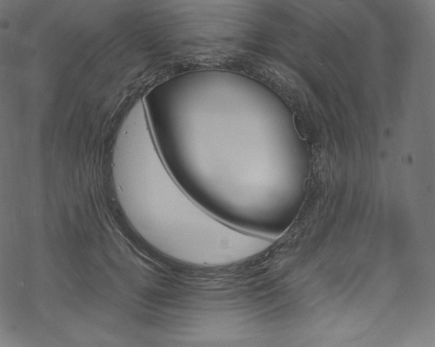 X0000070230752200605261101