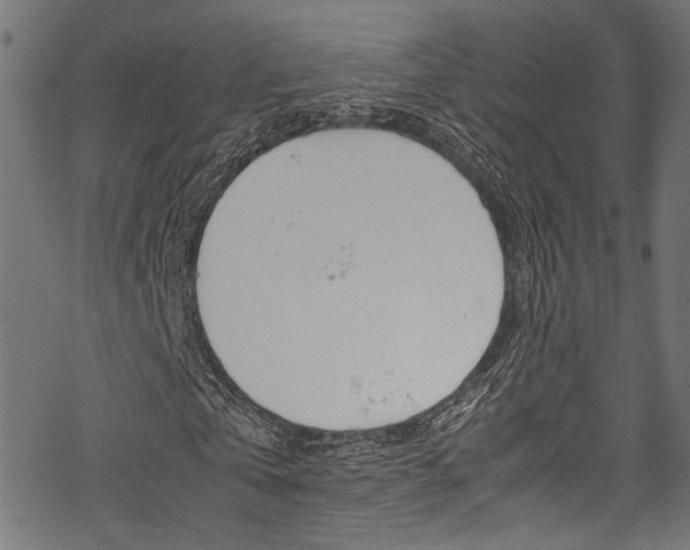 X0000070230769200605261101