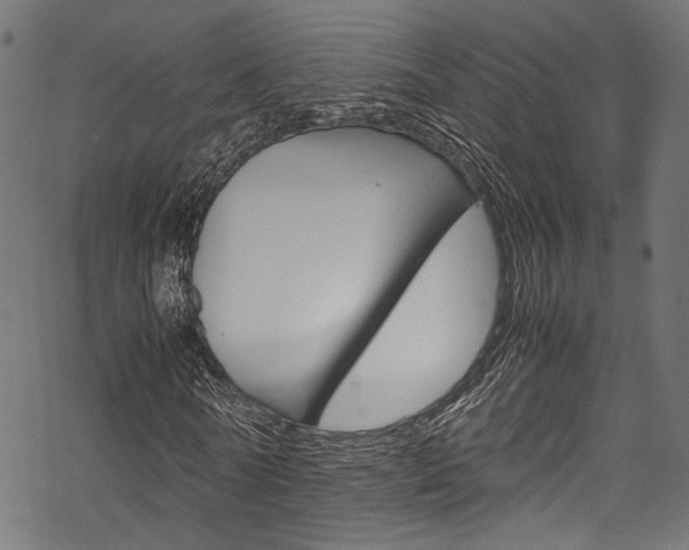 X0000070230770200605261101