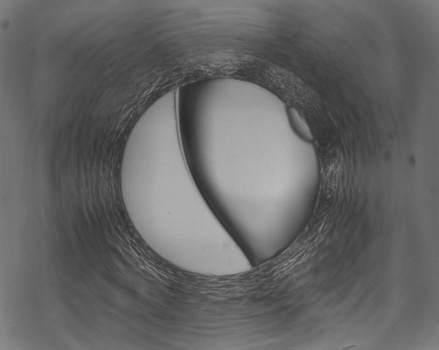 X0000070230772200605261101
