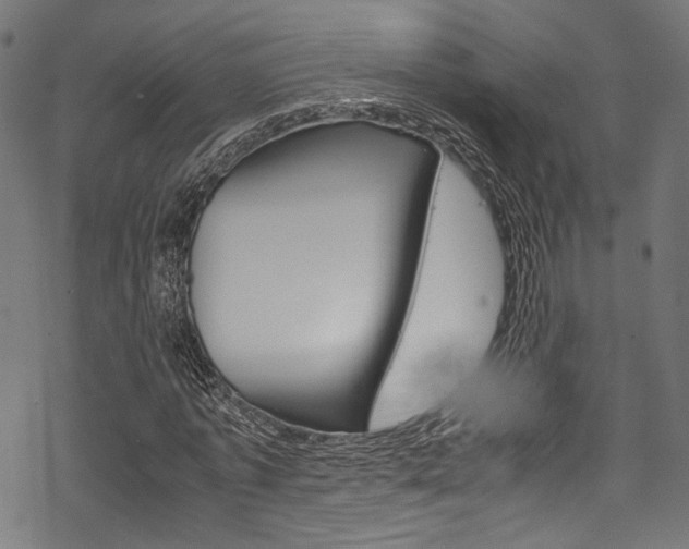 X0000070230773200605261101
