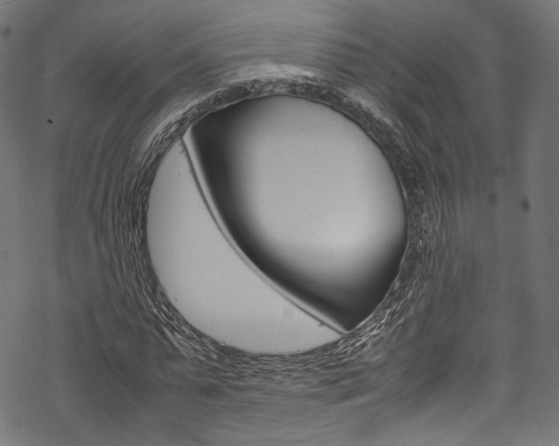 X0000070230775200605261101