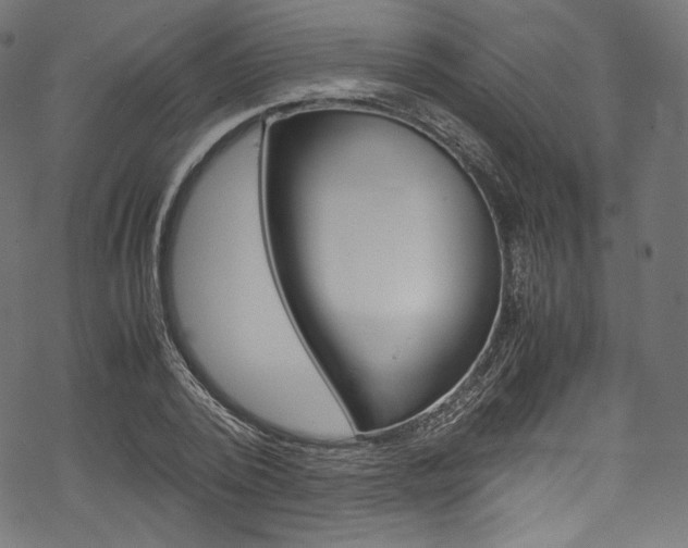 X0000070230784200605261100