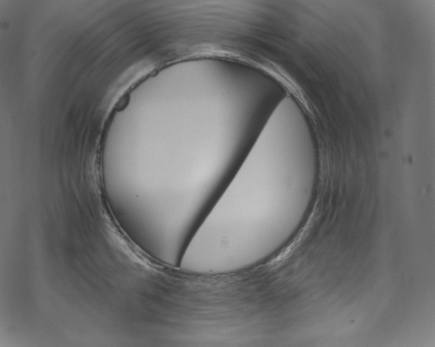 X0000070230806200605261100