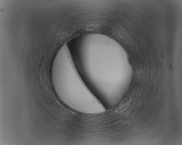 X0000070230817200605261059