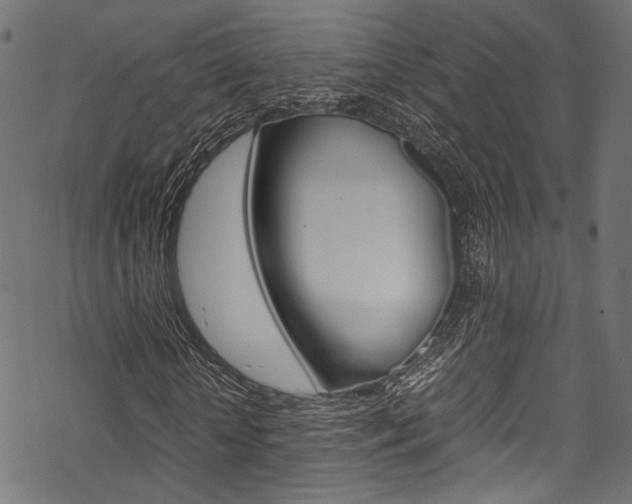 X0000070230818200605261059