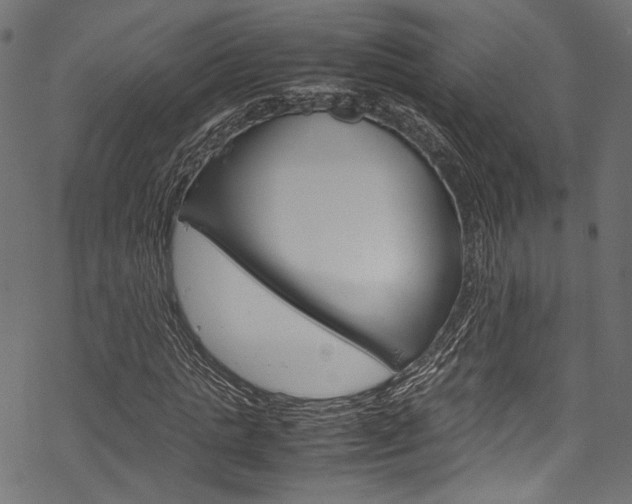 X0000070230821200605261059