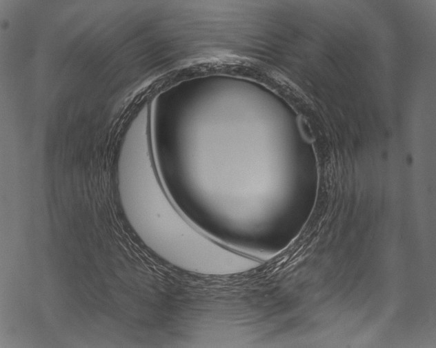 X0000070230822200605261059