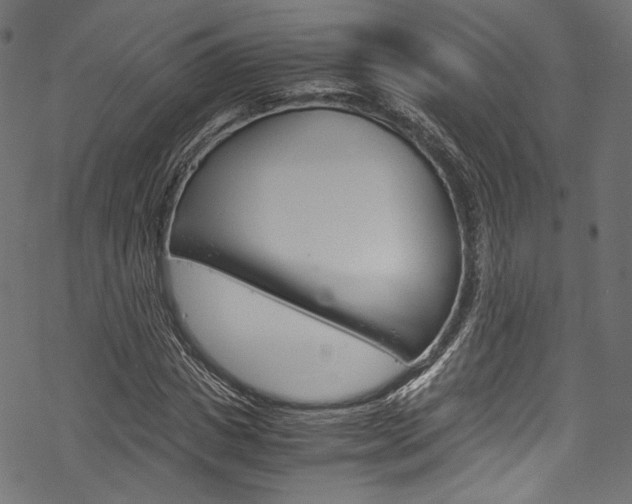 X0000070230825200605261059