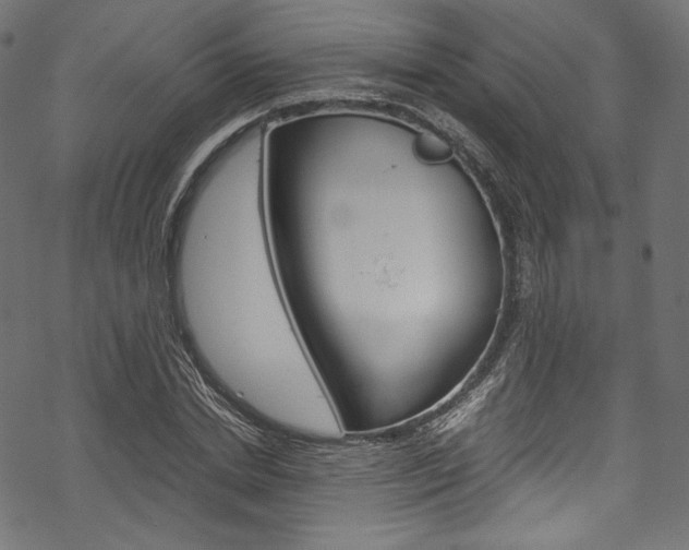 X0000070230830200605261059