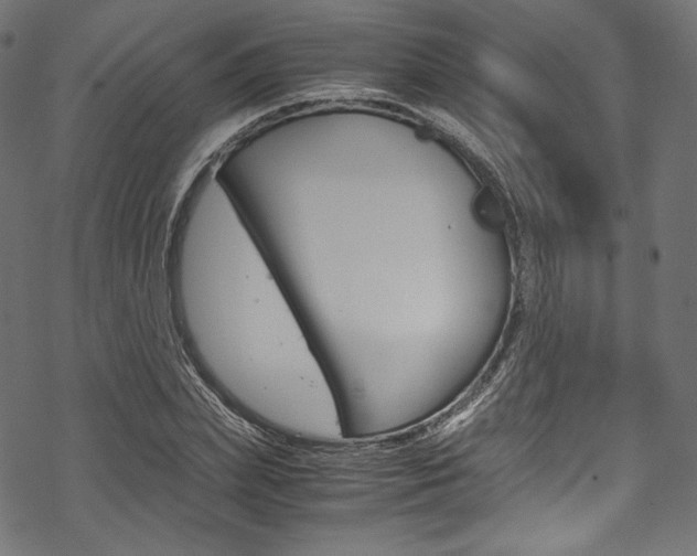 X0000070230831200605261059