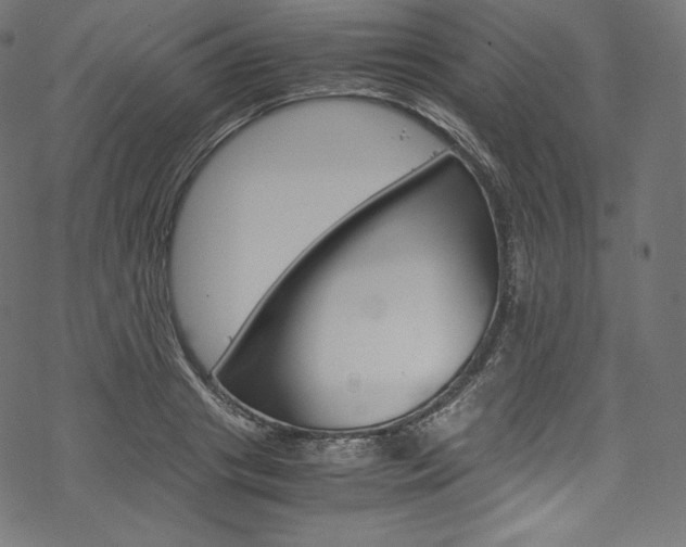 X0000070230841200605261100