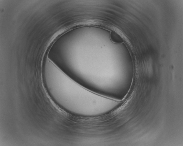 X0000070230845200605261100
