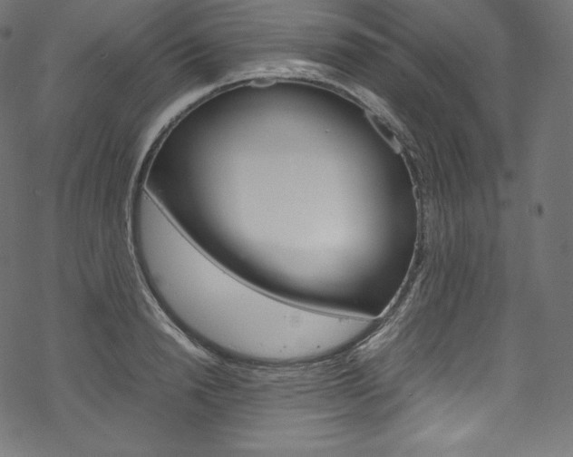 X0000070230846200605261100