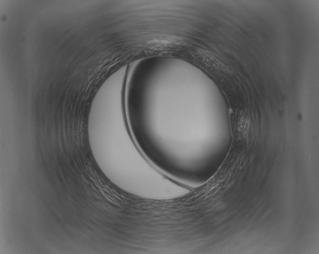 X0000070230868200605261059