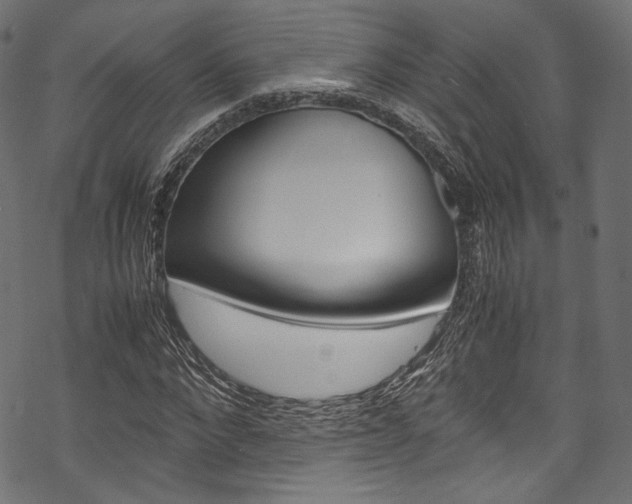 X0000070230872200605261059
