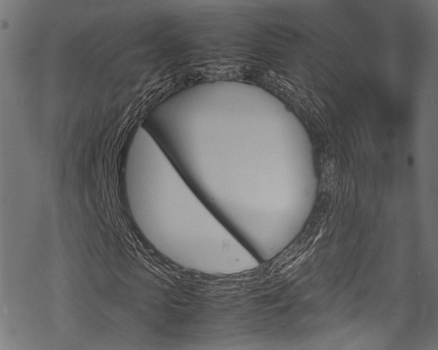 X0000070230913200605261058