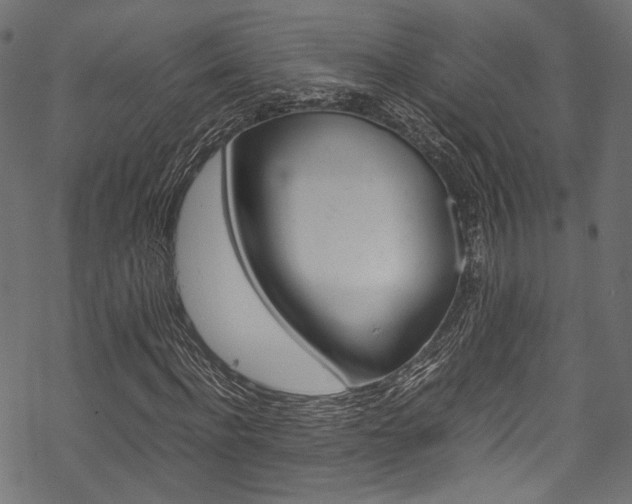 X0000070230916200605261058