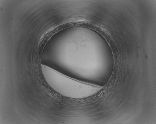 X0000070230920200605261058