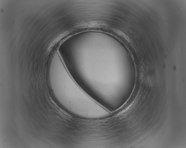 X0000070230922200605261058