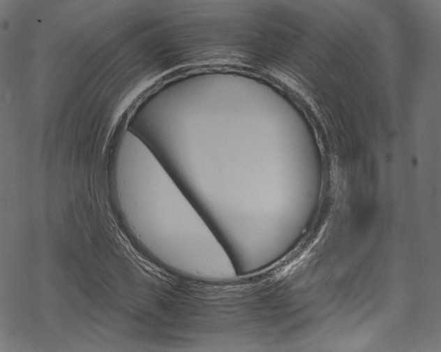 X0000070230925200605261058