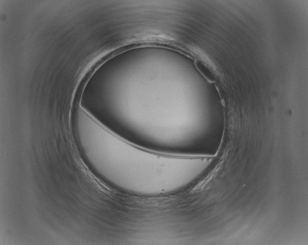 X0000070230932200605261058