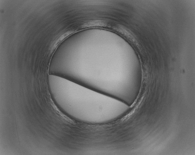 X0000070230937200605261058