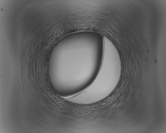 X0000070230961200605261058