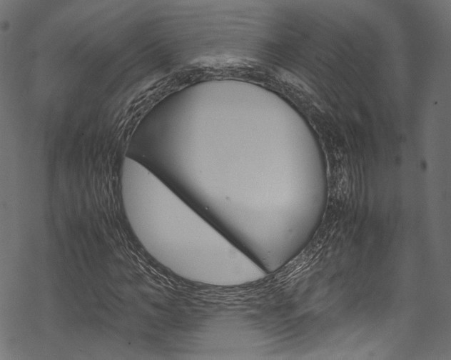 X0000070230966200605261058