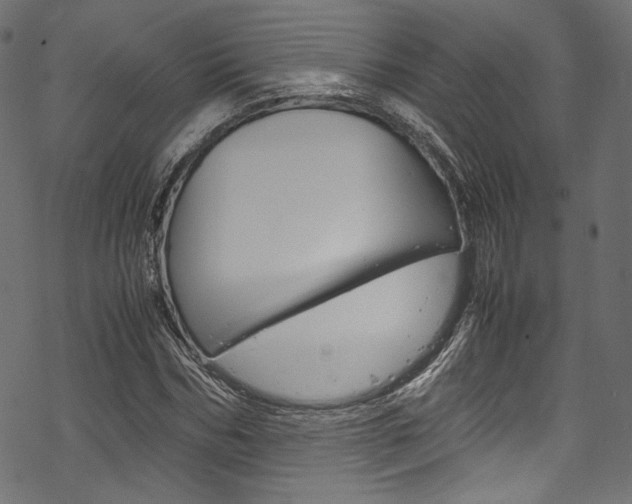 X0000070230970200605261057