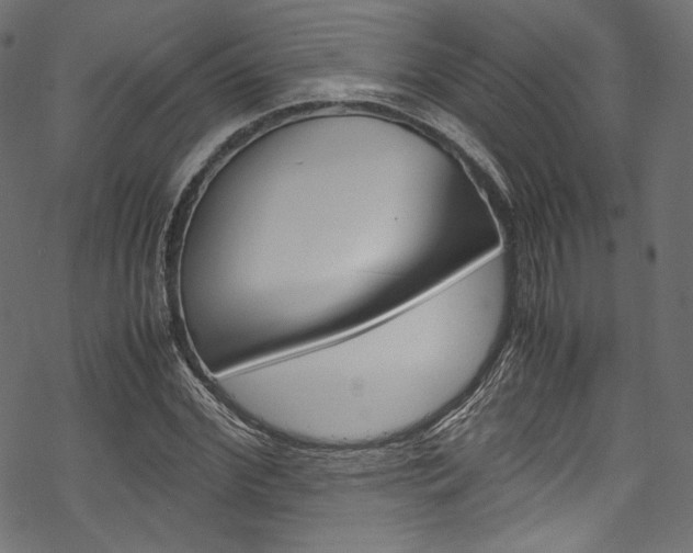 X0000070230972200605261057