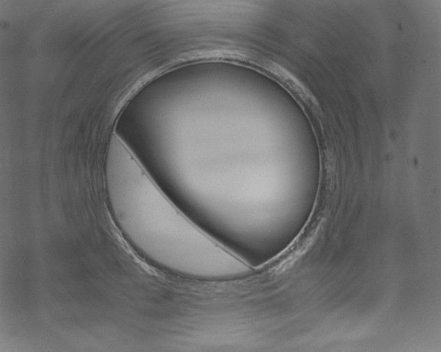 X0000070230993200605261057