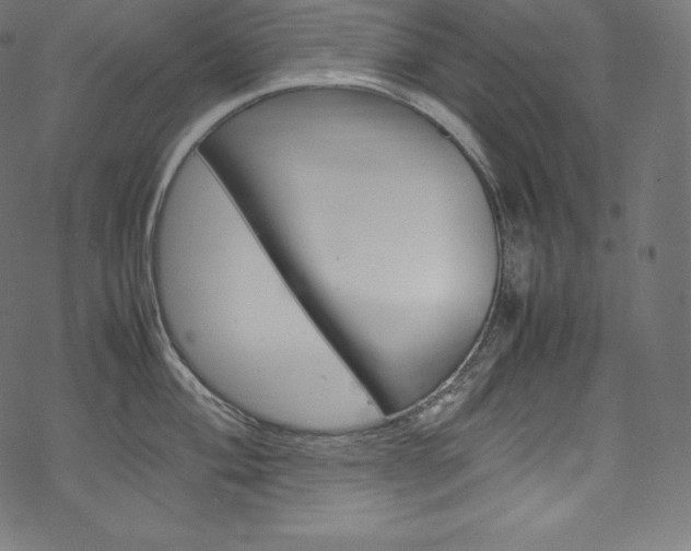 X0000070231004200605261057