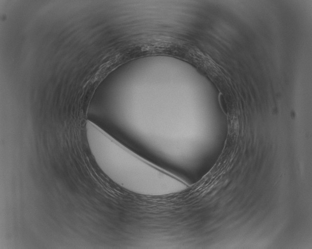 X0000070231012200605261056