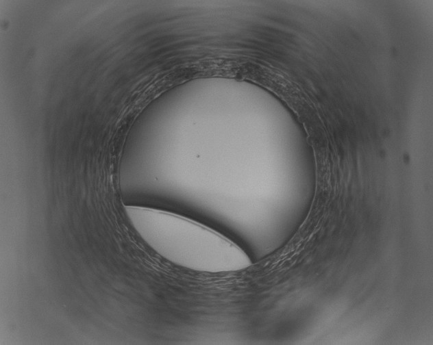 X0000070231013200605261056