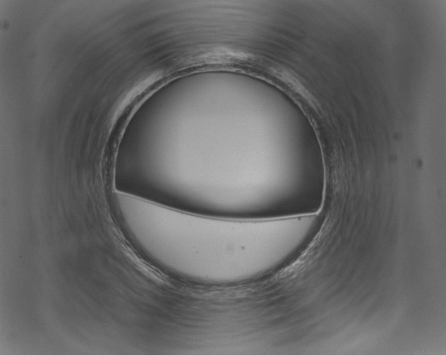 X0000070231026200605261056