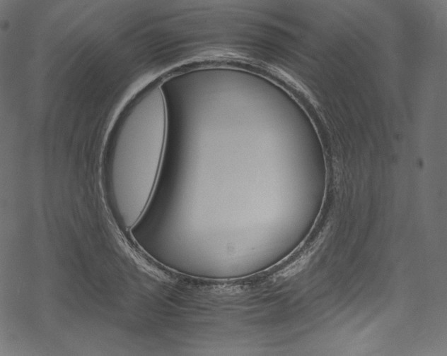 X0000070231029200605261056