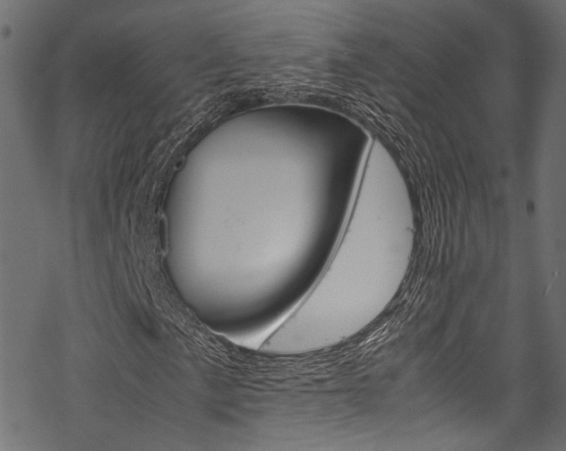 X0000070231057200605261056