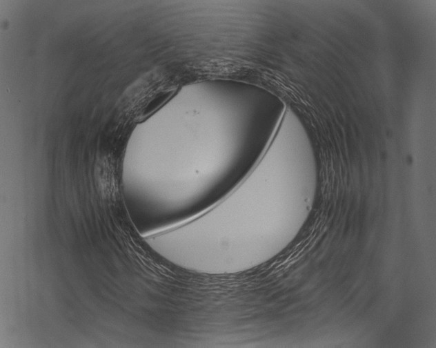 X0000070231058200605261056
