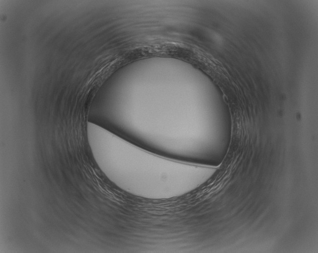 X0000070231060200605261056