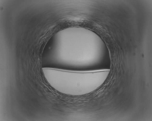 X0000070231061200605261056